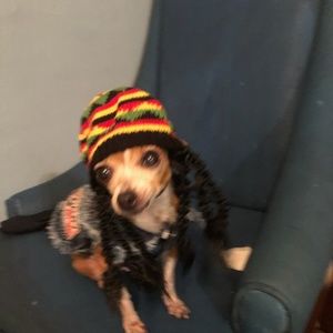 Meet your Posher, Shelly